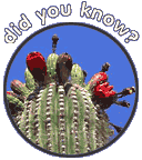 Did You Know?